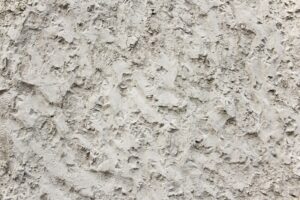 Can You Get Enough Calcium on a Vegan Diet Tips and Considerations