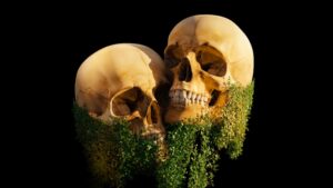 How Calcium Fortification in Foods Has Improved Public Health Over the Decades